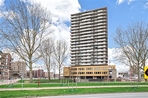 De Verdwenen Lotusvijver! Een Meesterwerk van Stille Contemplatie en Licht