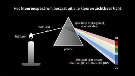  De Zonnebloem - Een Weelderige Verbeelding van Licht en Kleur!